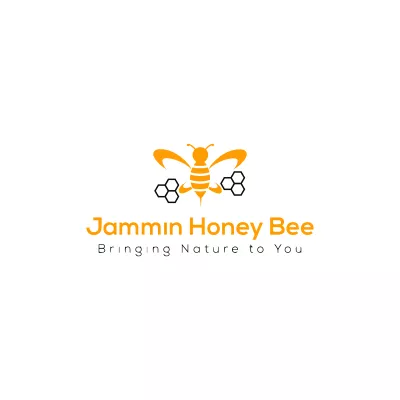 design a professional minimalist modern business logo